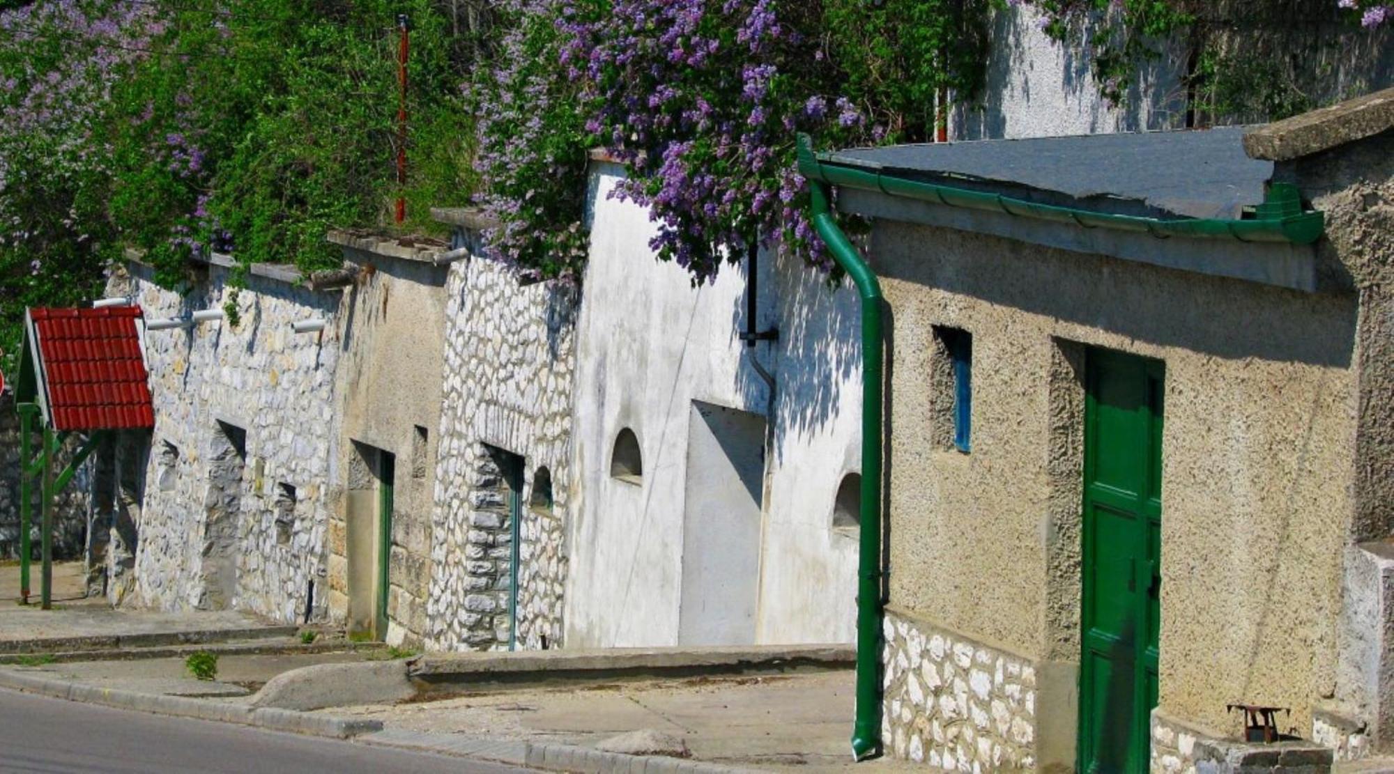 Bed and Breakfast Fenyo Panzio Мезёкёвешд Экстерьер фото